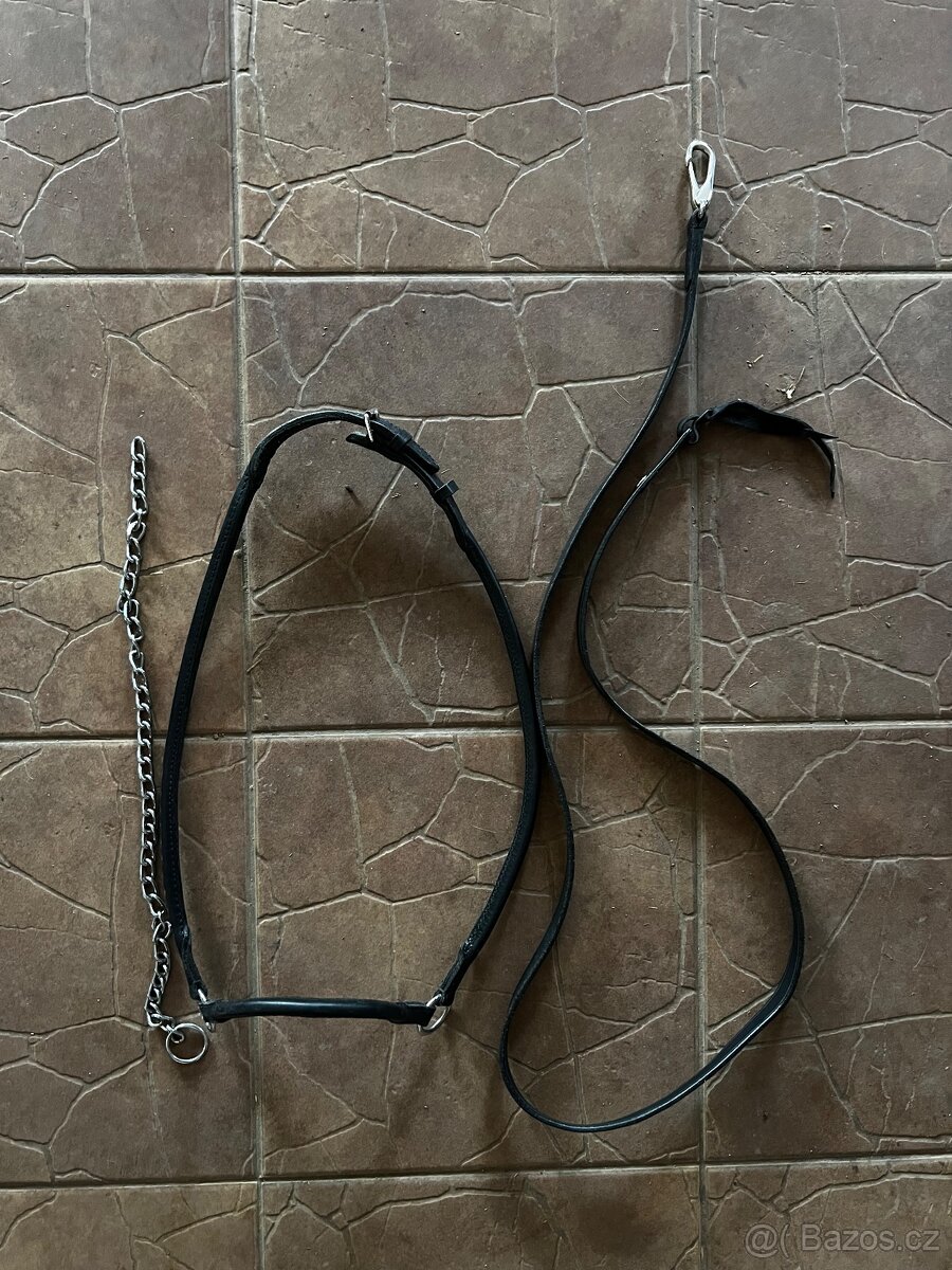 Předváděcí ohlávka