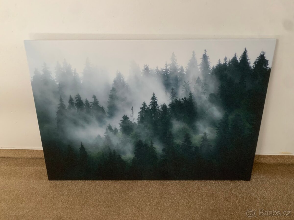 Obraz na plátně - Les v mlze 90x60cm