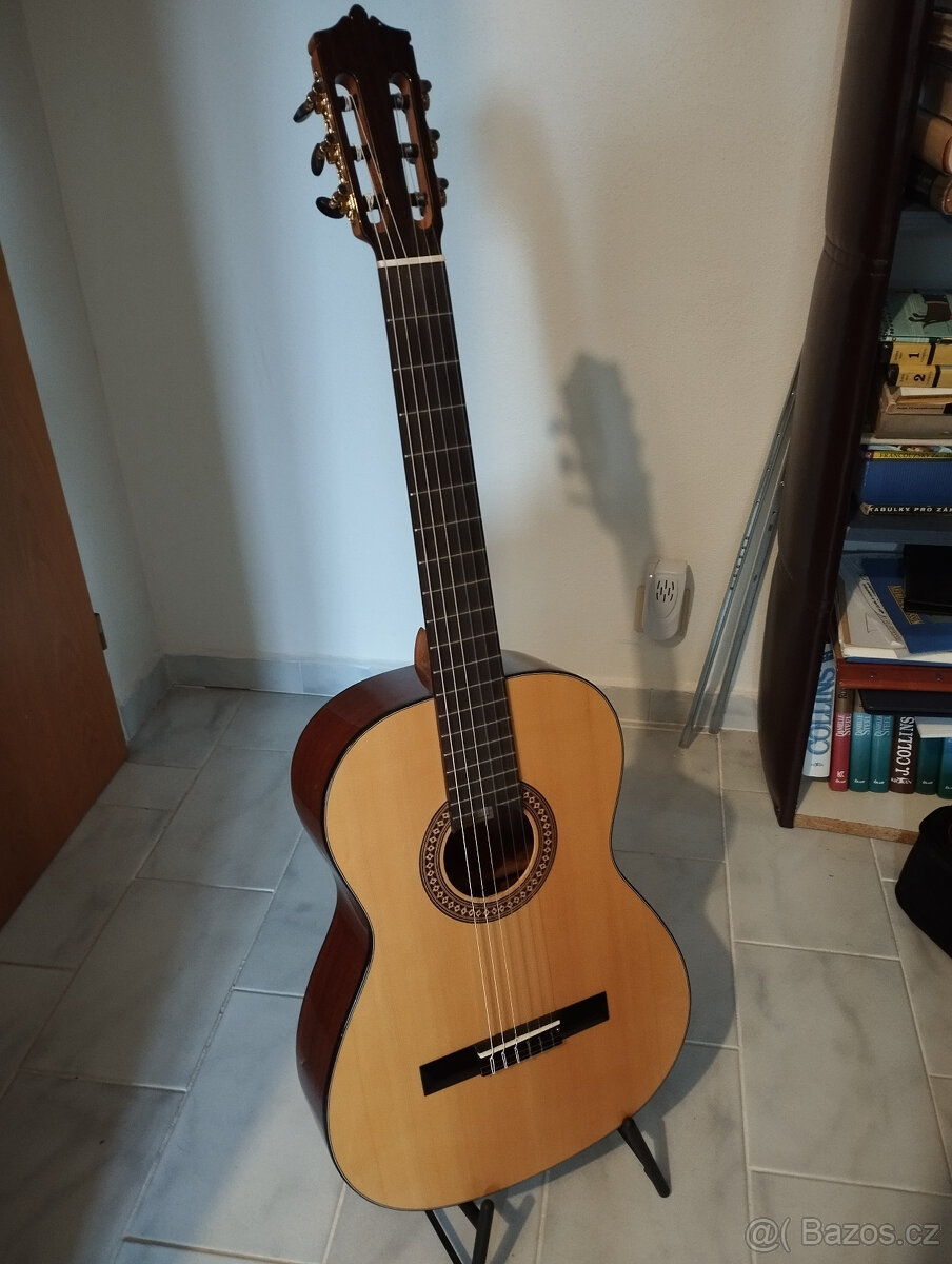 Tříčtvteční kytara Martinez
