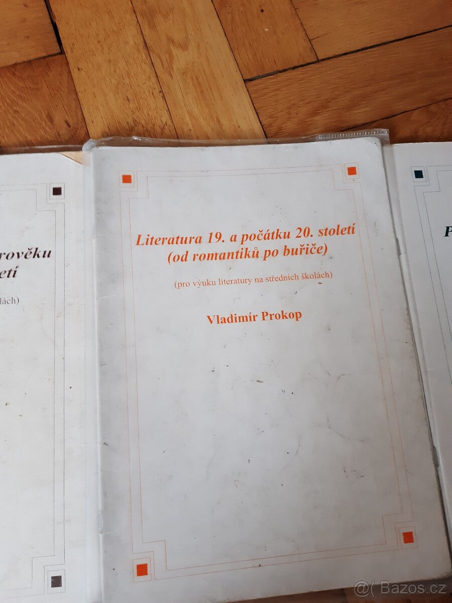 V. Prokop - Literatura 19. století a počátku 20. století