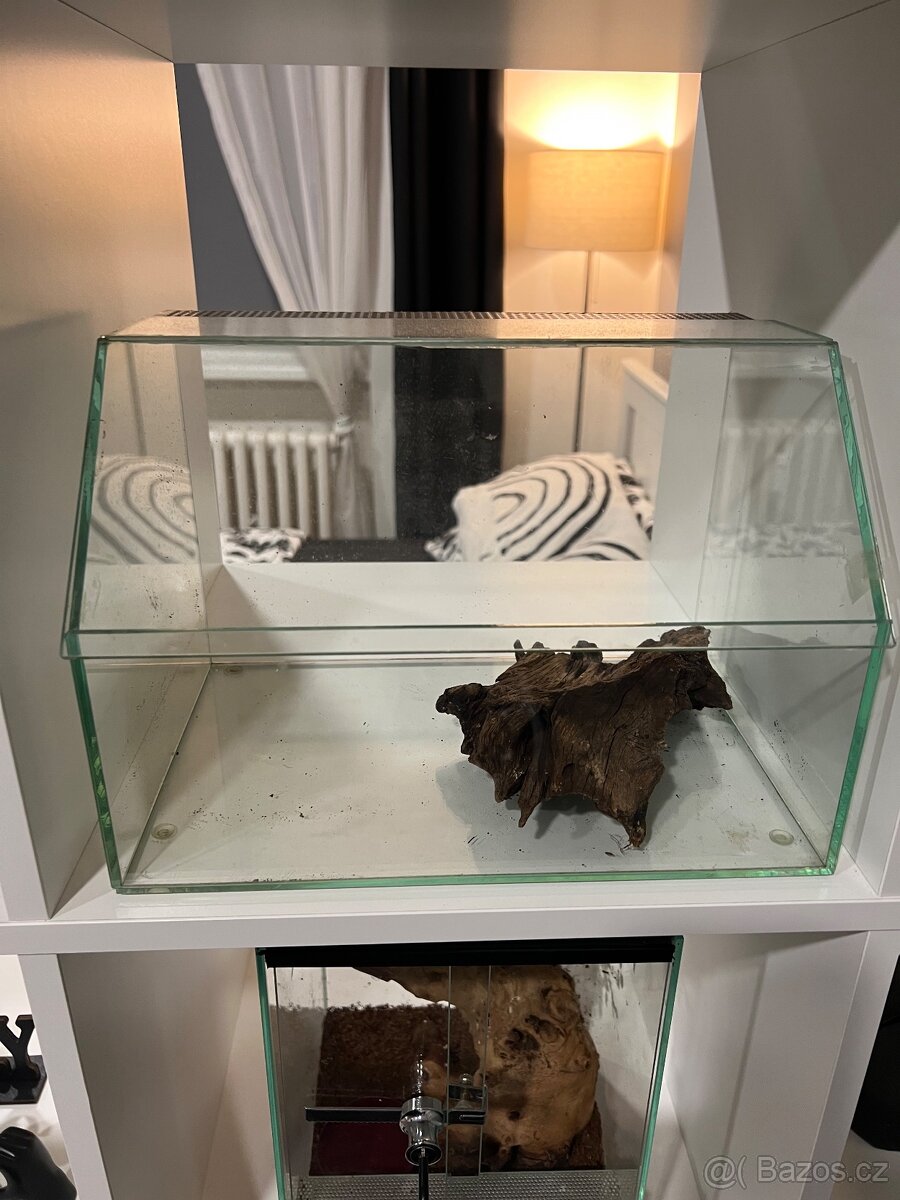 Terárium zkosené