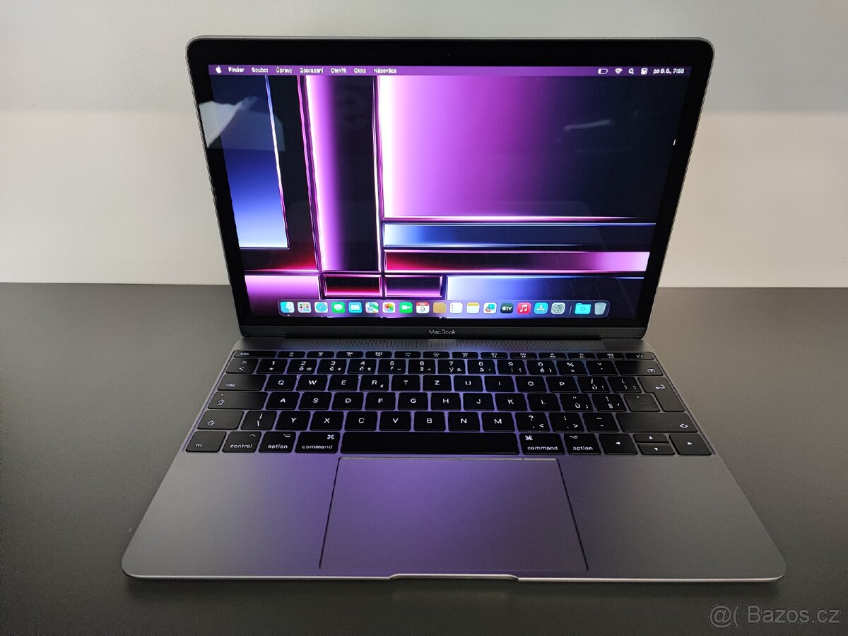 Apple Macbook A1534 (2017)