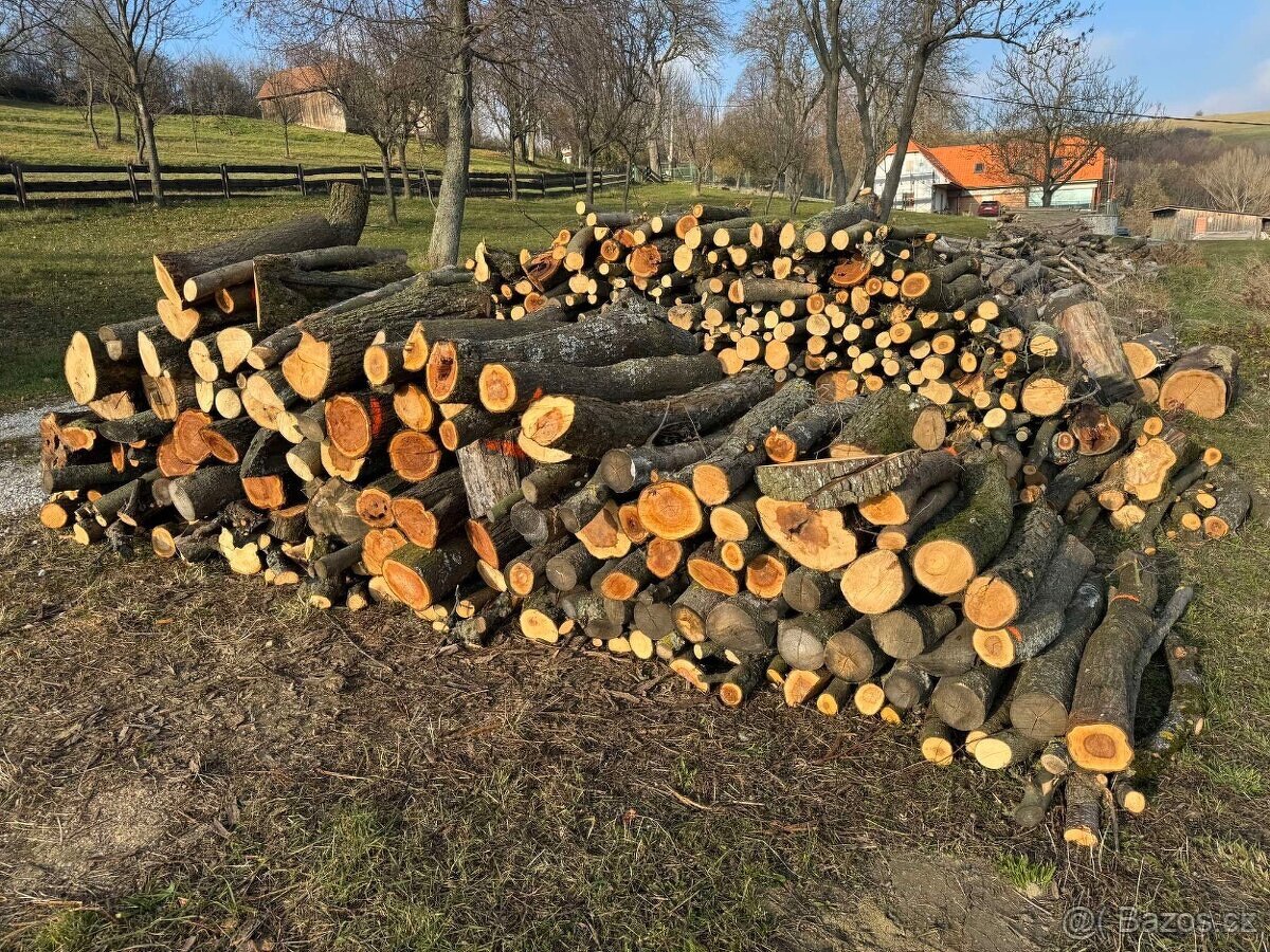 Palivové dřevo
