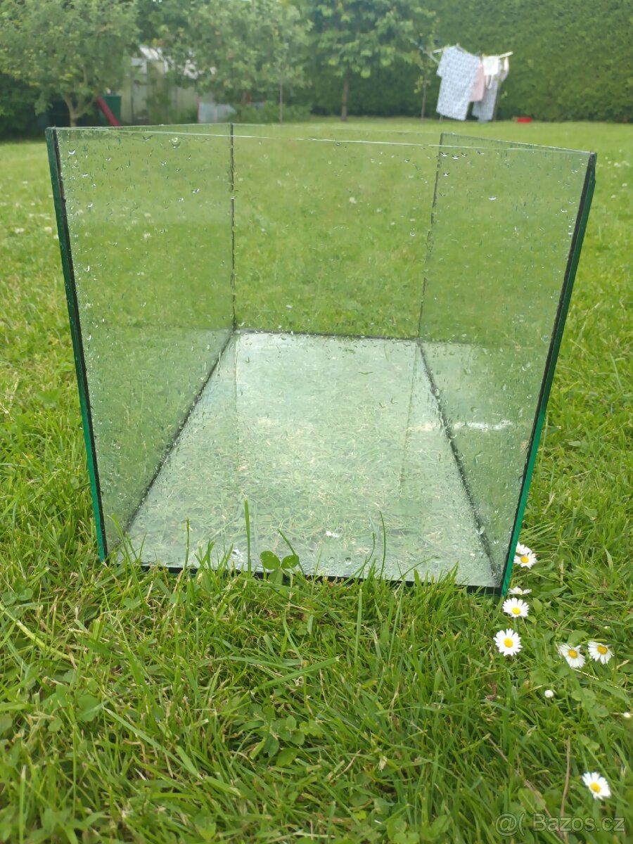 Terarium