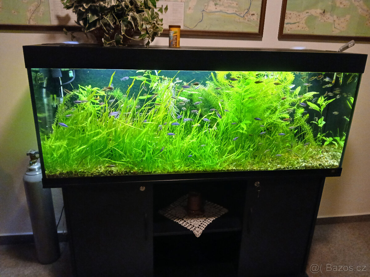Akvarium 400 l