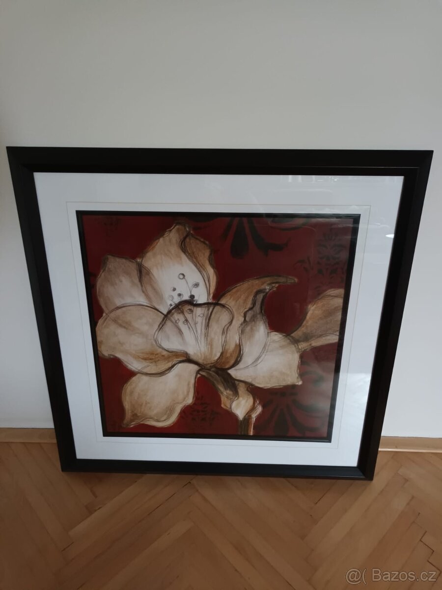Zarámovaná fotografie v barevném provedení květina
