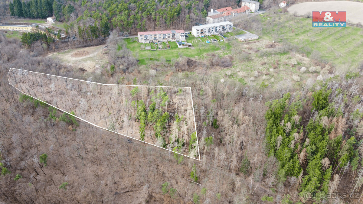 Prodej lesa, 7378 m², Bojanovice