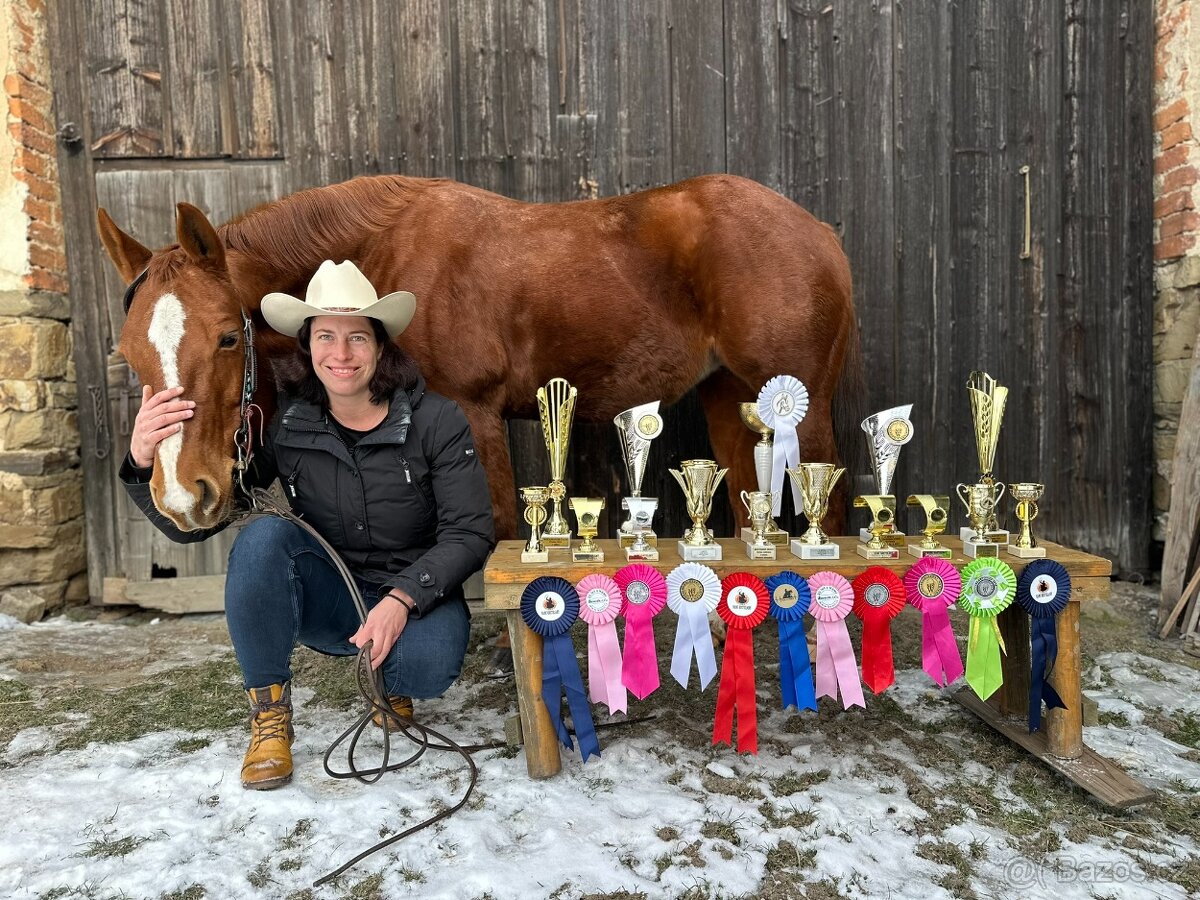 AQH KLISNA  2010 - PRODANÁ