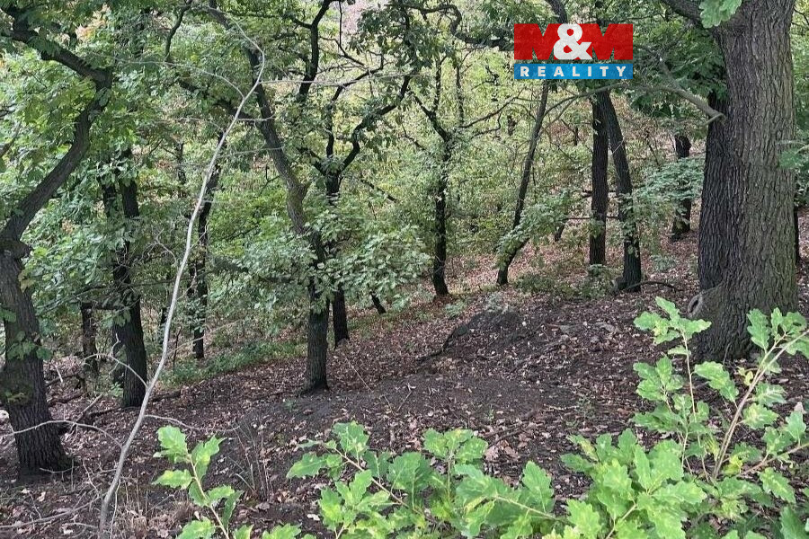 Prodej lesa, 7458m², Bílina