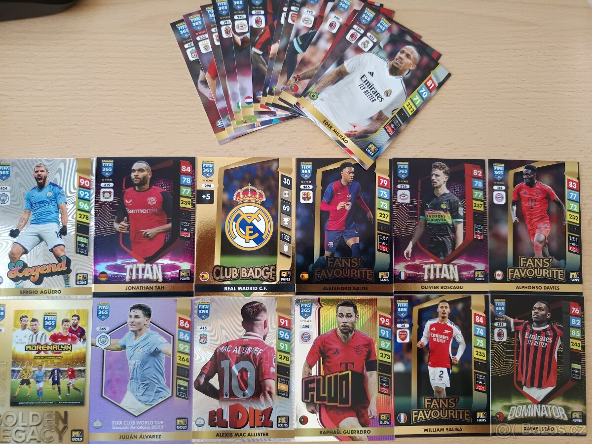 Fotbalové karty 2024 a 2025