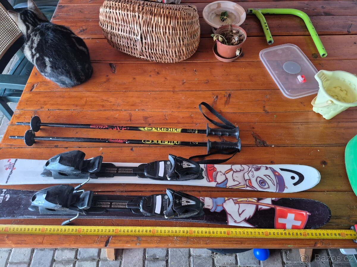Dětské lyže Heat délka 97 cm