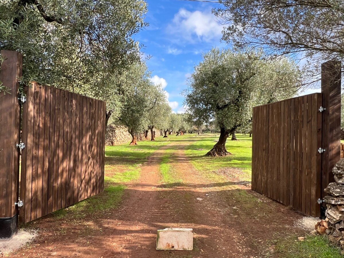 Pozemek 10.000m2 u moře🇮🇹