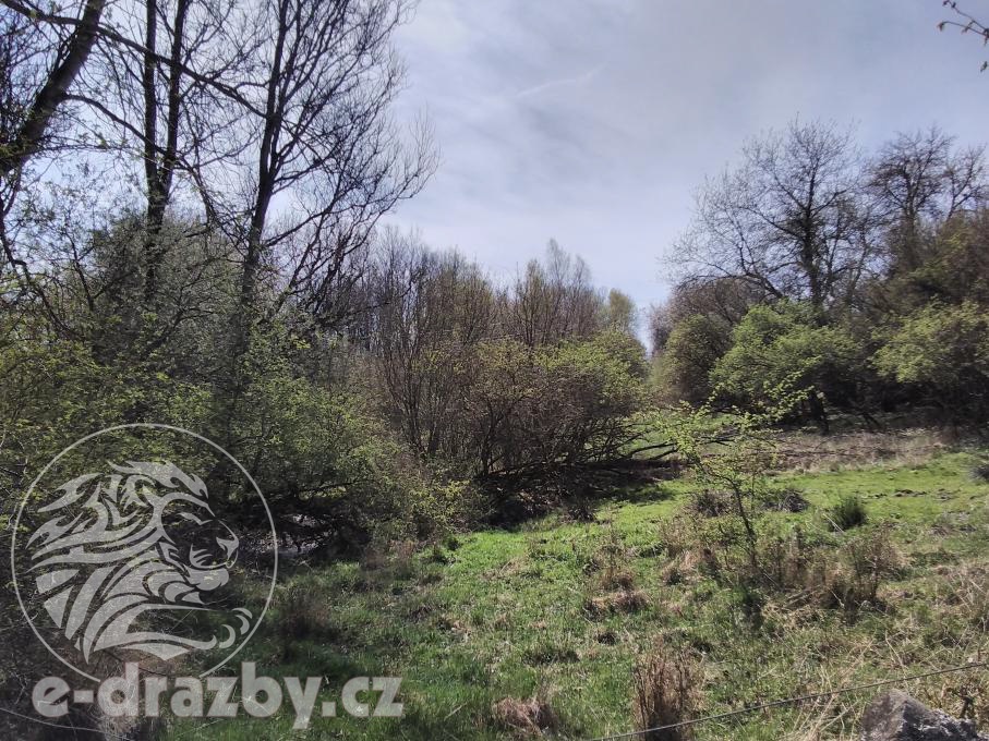 Lesní pozemky, 60 208 m2 , obec Přimda, okr. Tachov