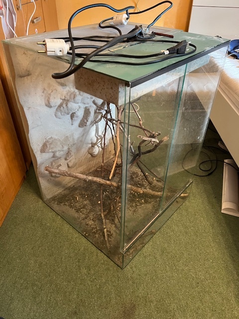 Skleněné terarium 50x50cm, výška 70cm