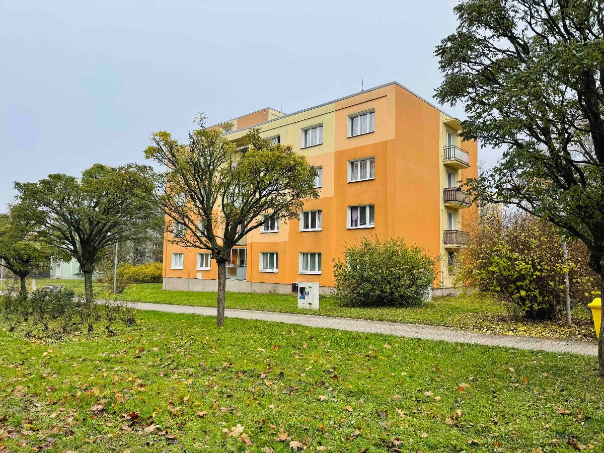 Prodej, byt 2+1, 56m2, ul. Smrková, Plzeň - město