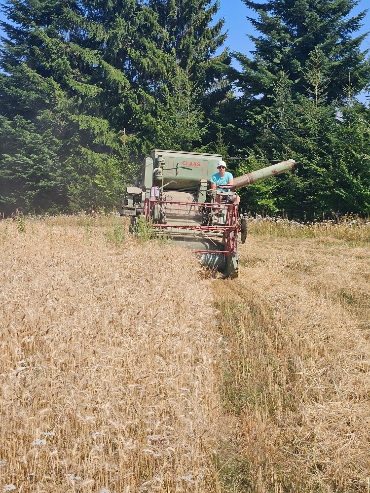 Claas Columbus
