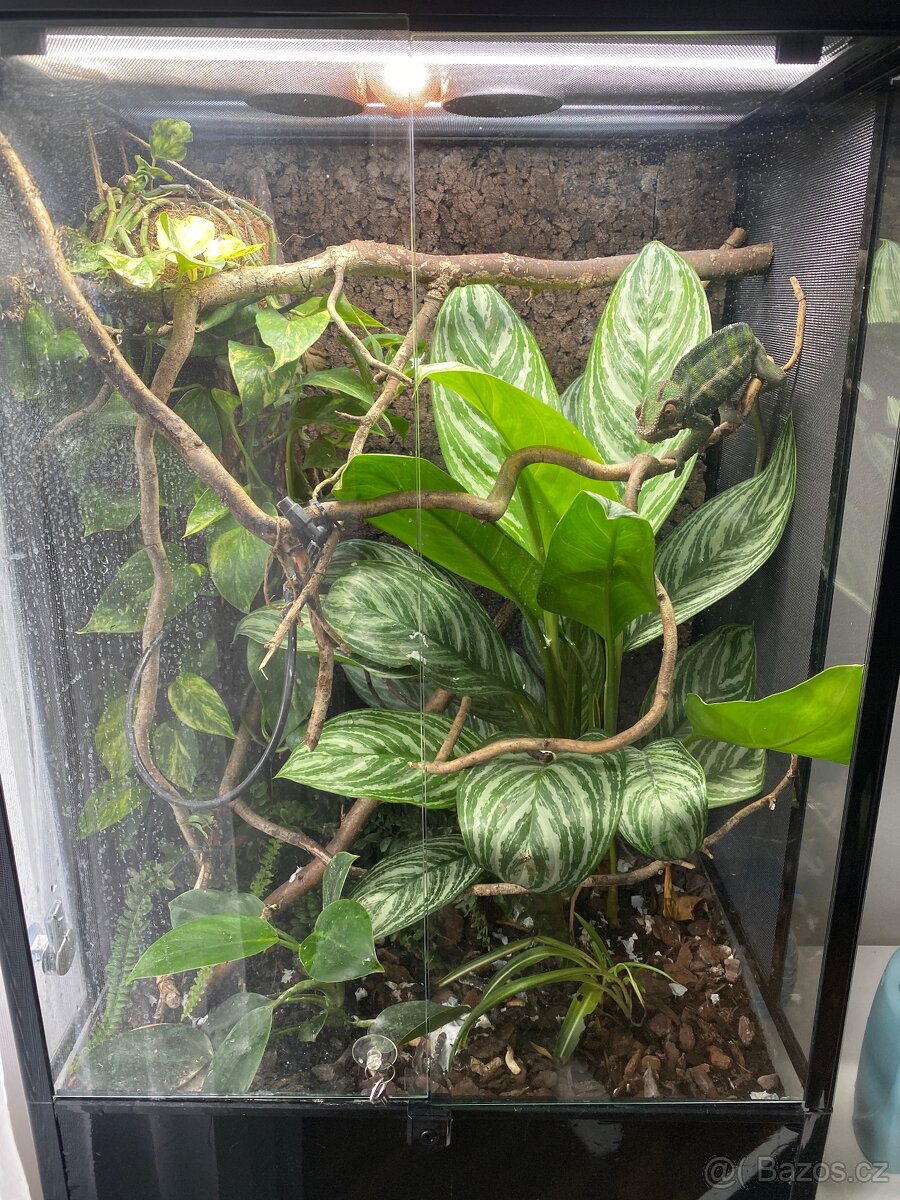 Terarium 60x45x90
