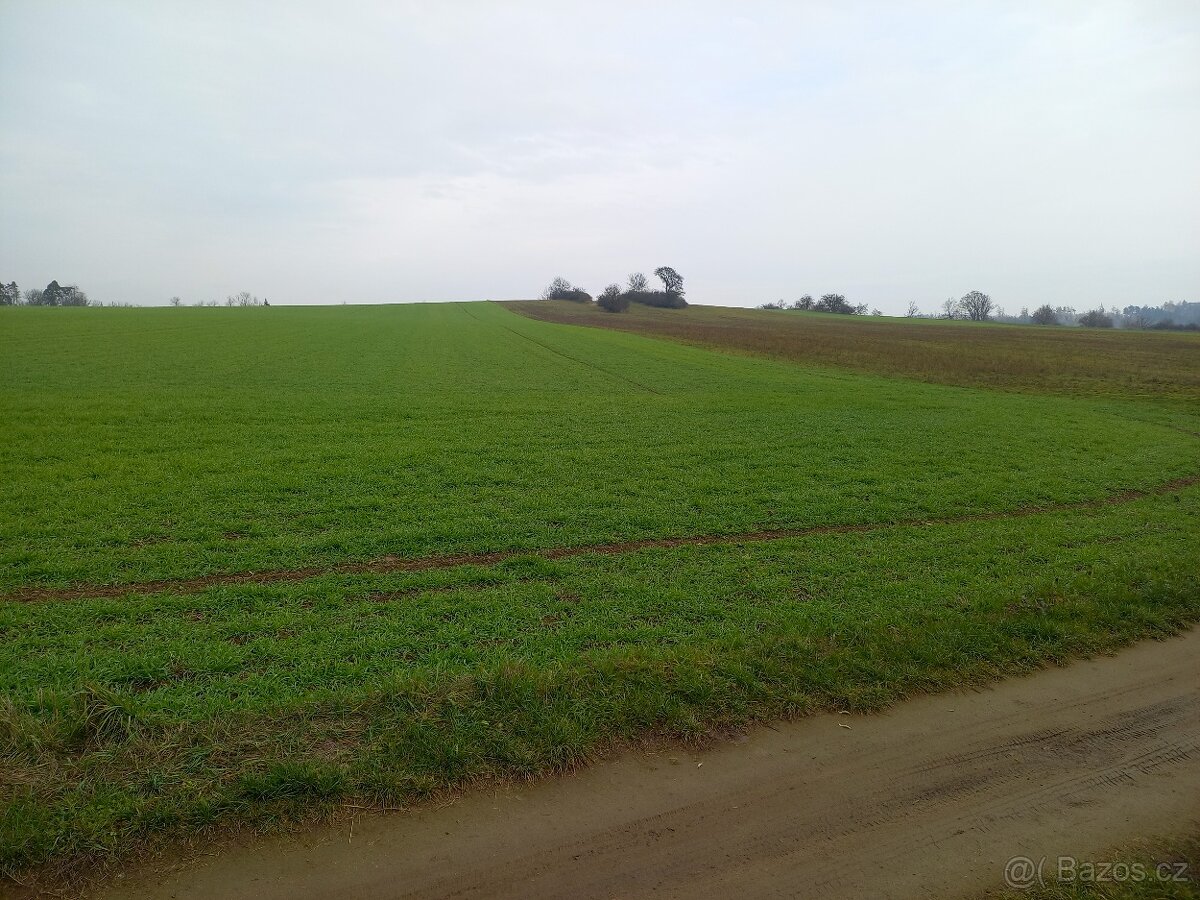 Investiční příležitost - stavební pozemek Náměšť nad Oslavou