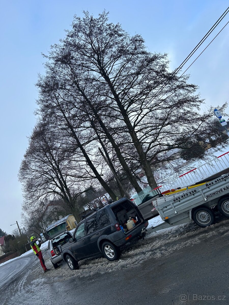 Arboristické služby – kácení, prořez, údržba stromů