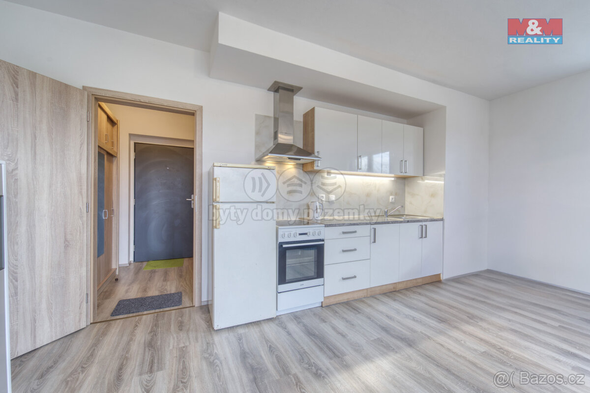 Pronájem bytu 1+kk, 36 m², Heřmanova Huť, ul. U Pondu