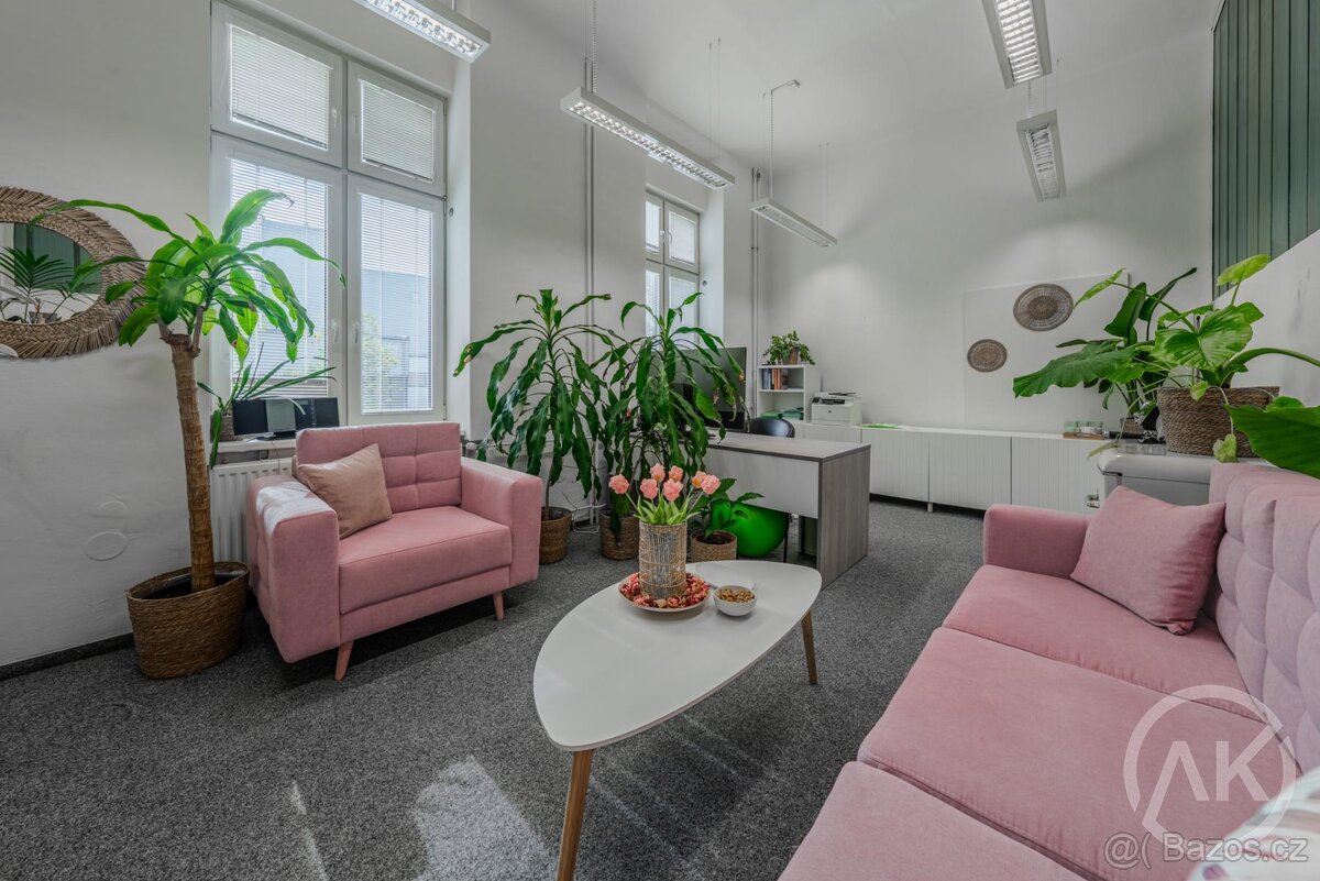 Pronájem dostupné a reprezentativní kanceláře, ul. Ruská