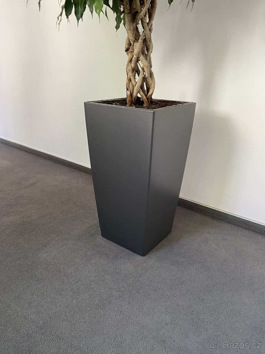 Květináč velký PC 2500,-