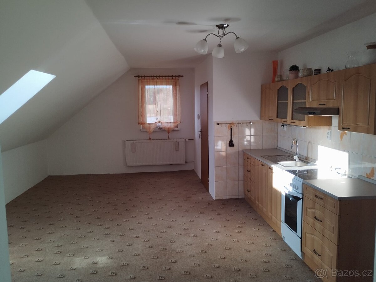 Pronajmu byt 3+kk v domě