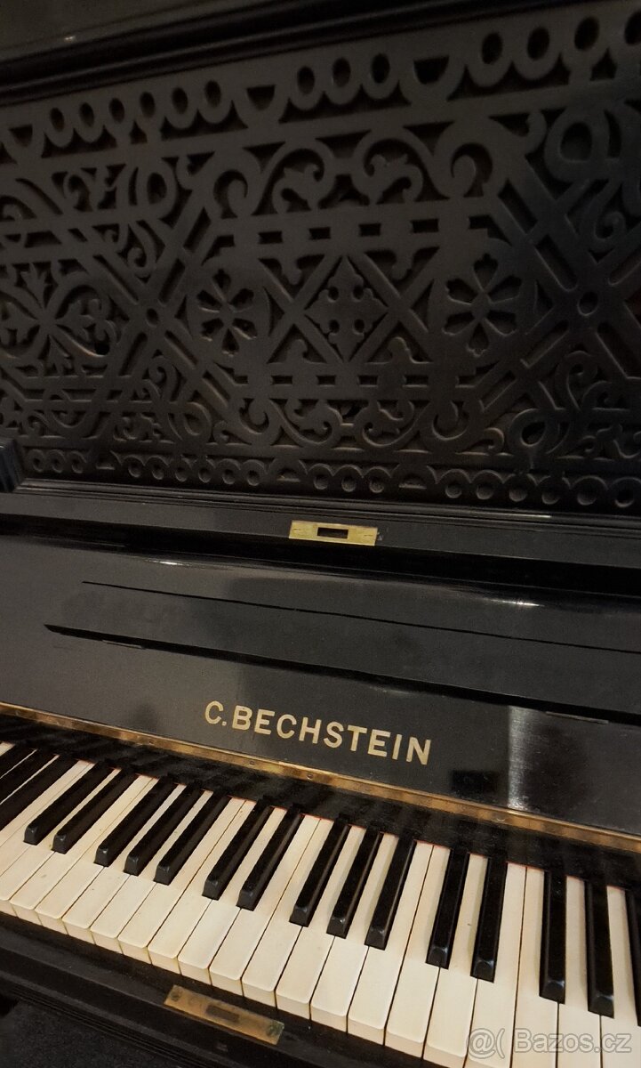 C.BECHSTEIN