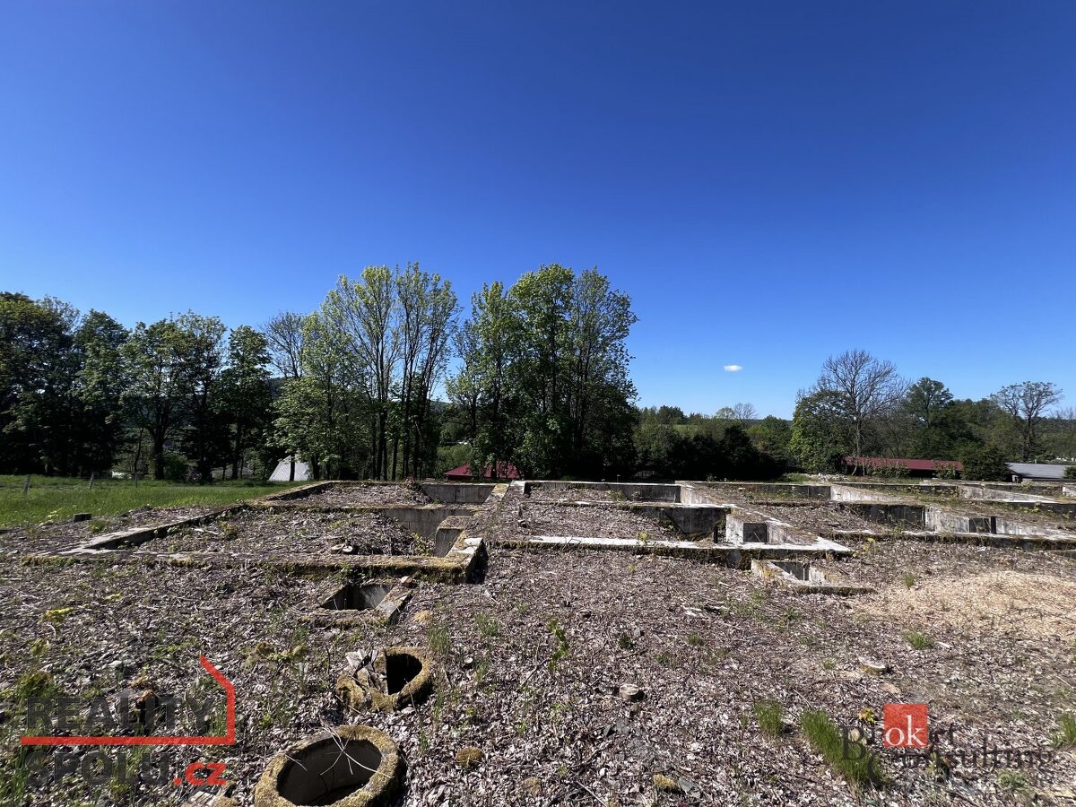 Prodej, pozemky/ostatní, 5105 m2, Razová, Bruntál [ID 60676]