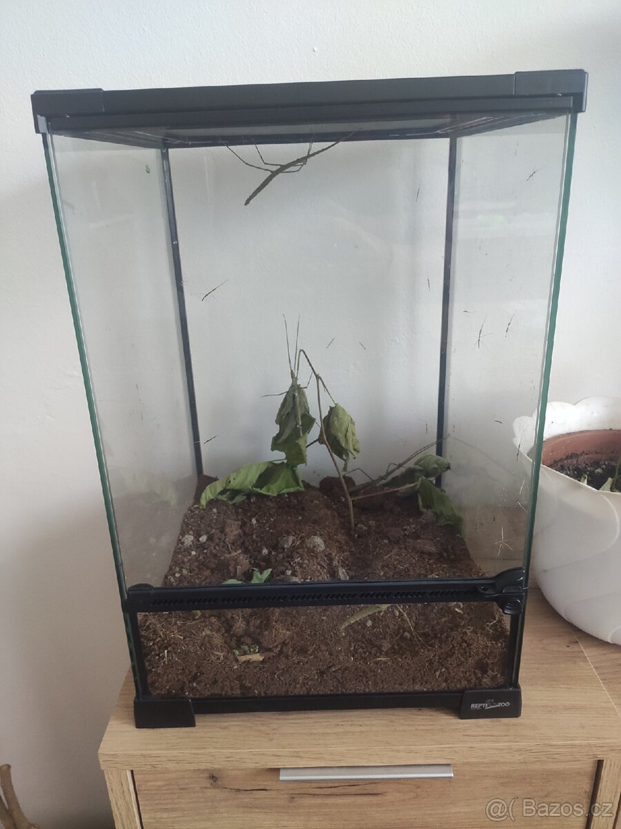 ReptiZoo Terárium RHK02S, 30x30x45cm