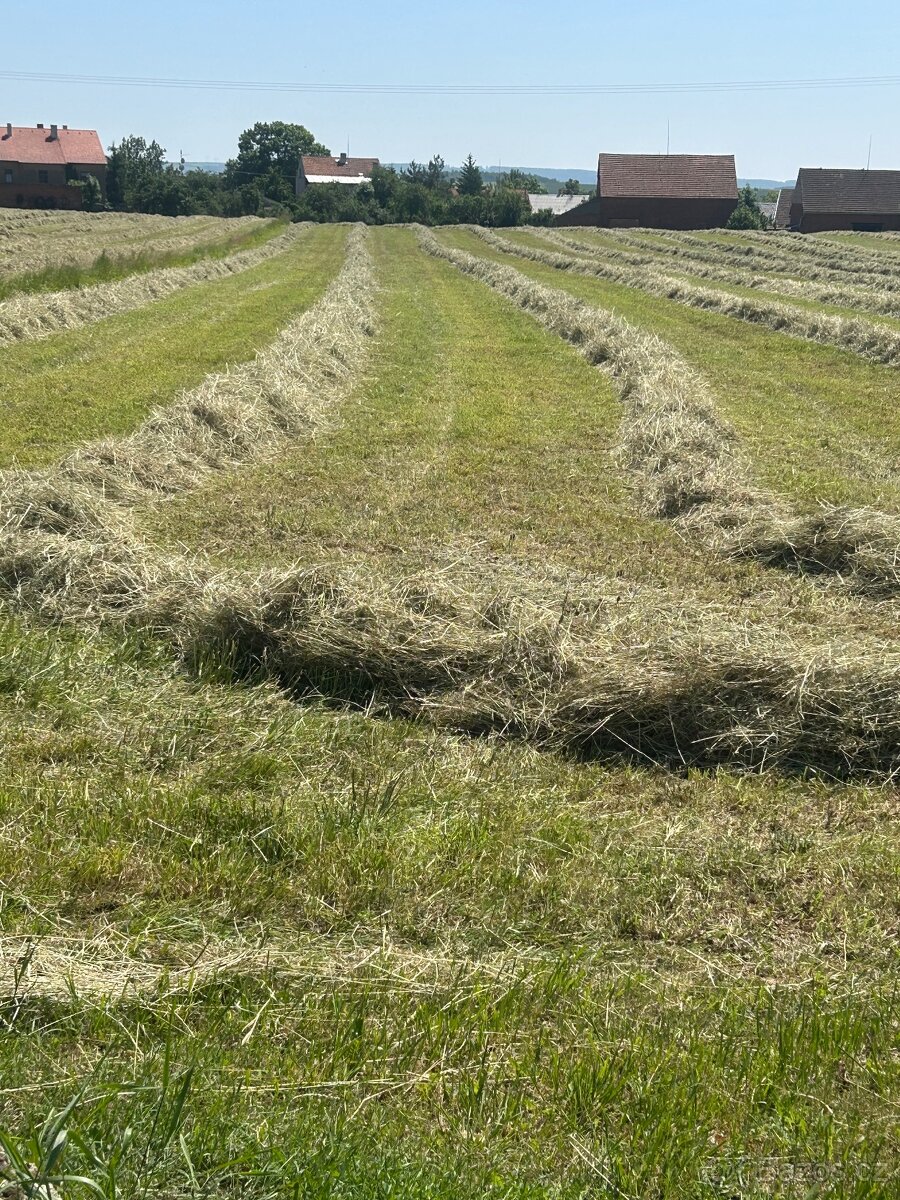 Prodám letošní Seno