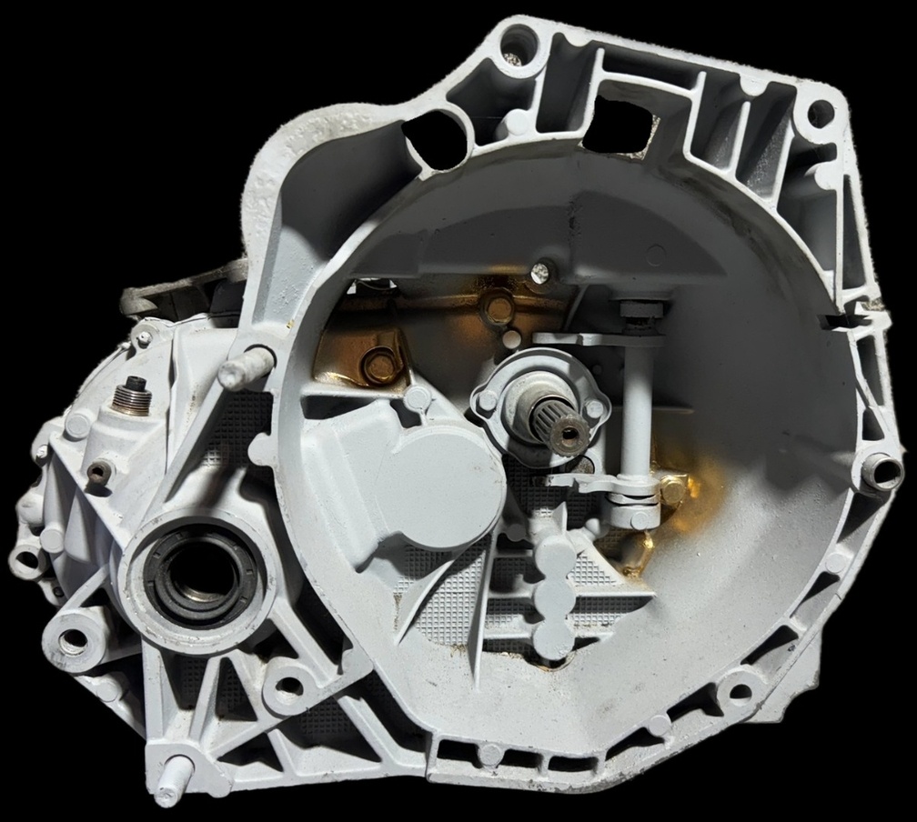 Manuální převodovka Fiat Doblo,Panda,Nemo,Fiat 500,Punto