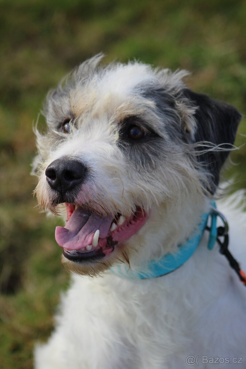 Apollo ❤ sněhová vločka ❤