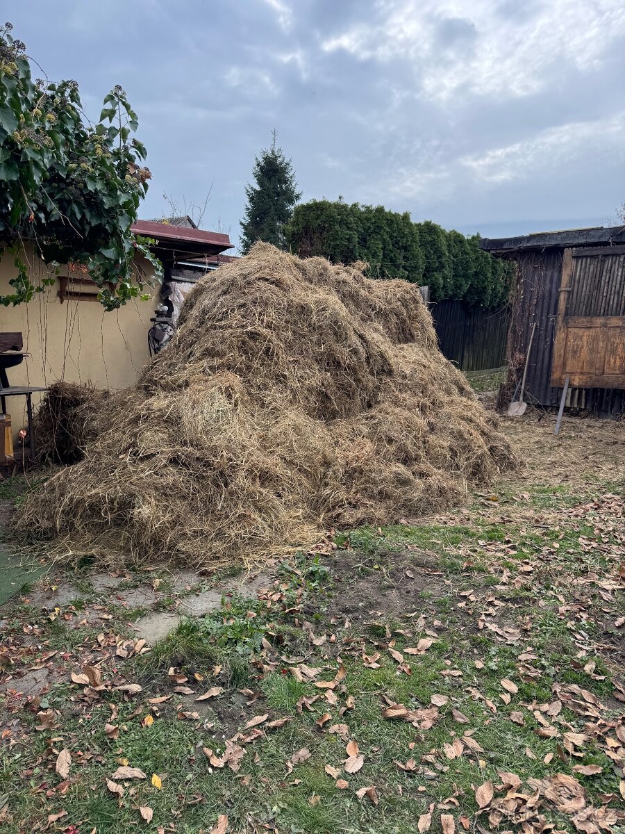 Staré seno za odovz 