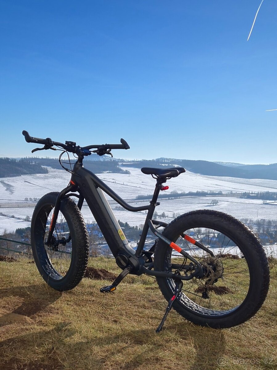 Leader Fox Braga Fatbike