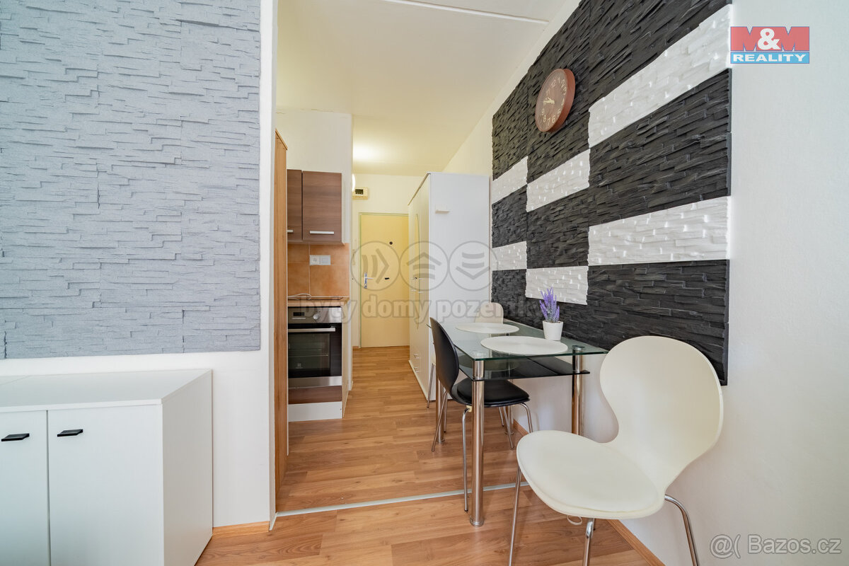 Pronájem bytu 1+kk, 19 m², Aš, ul. Dobrovského