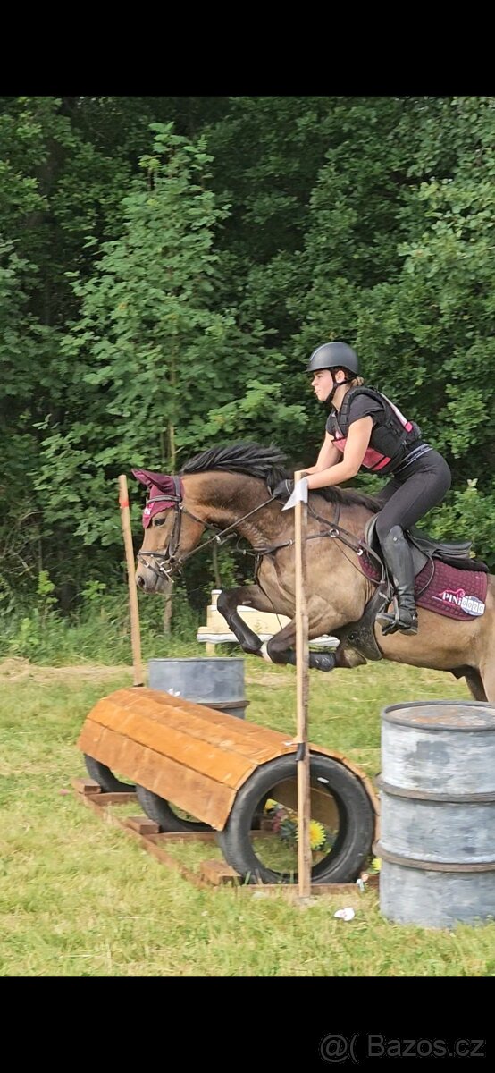 Sportovní pony B