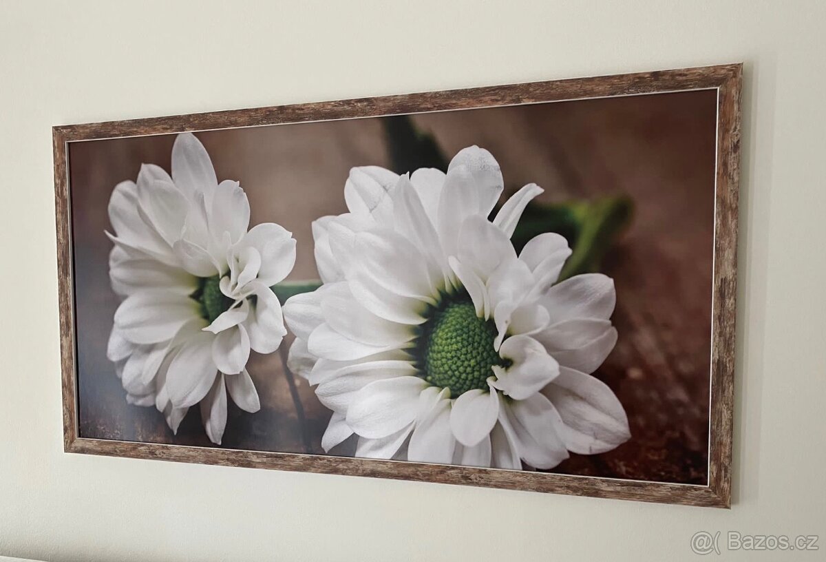 Zarámovaný obrázek květina 50x100 cm