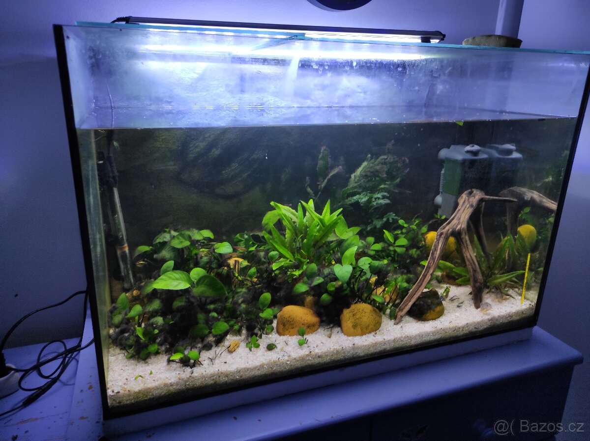 Akvárium 160l