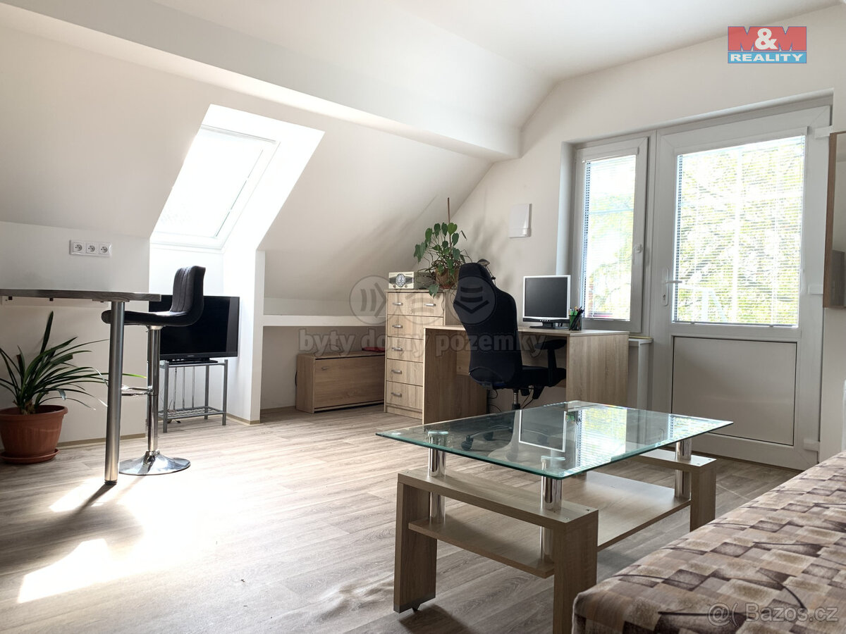 Pronájem bytu 1+kk, 24 m², Bratrušov