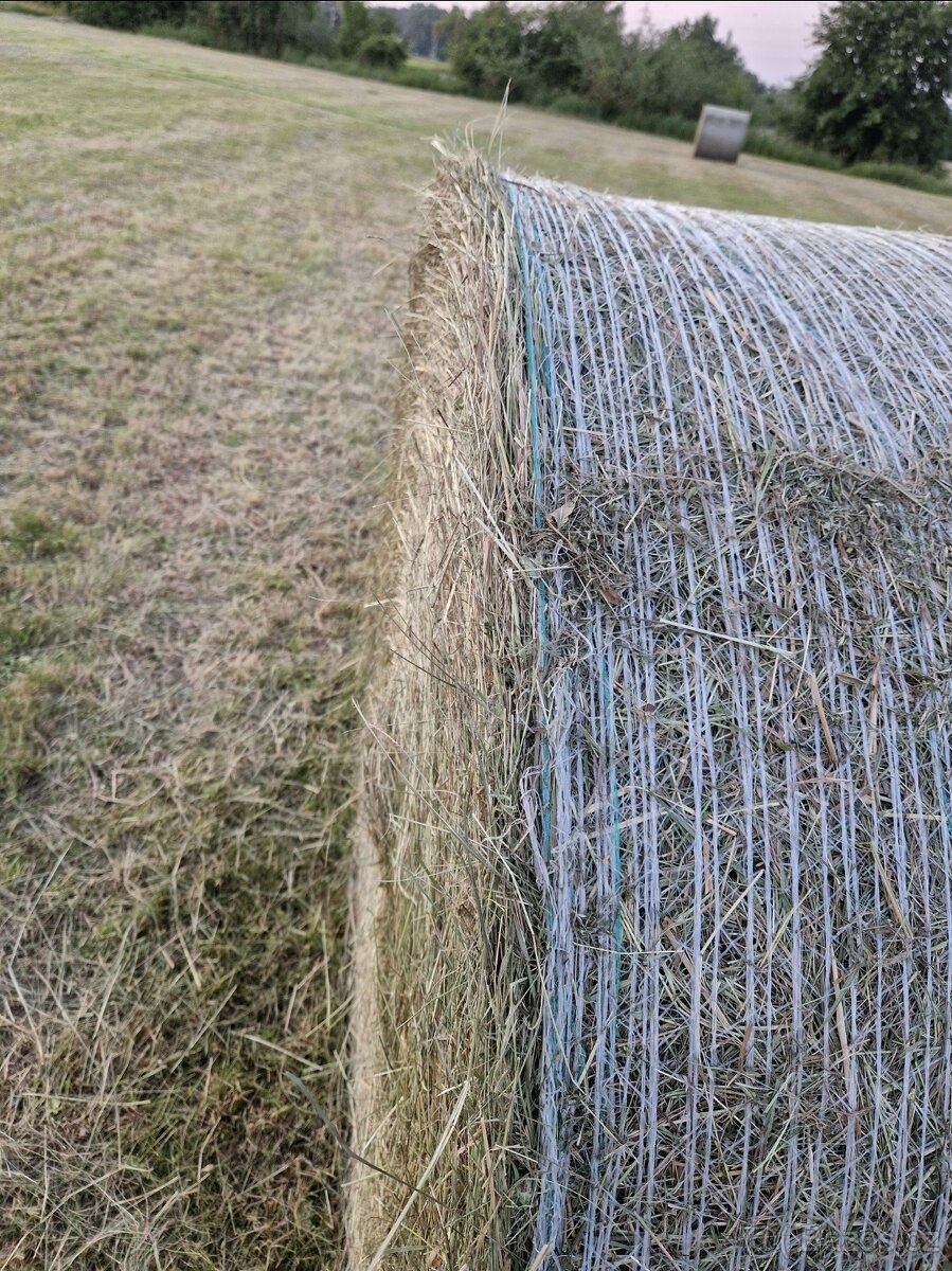 Prodám seno Třebechovice pod Orebem