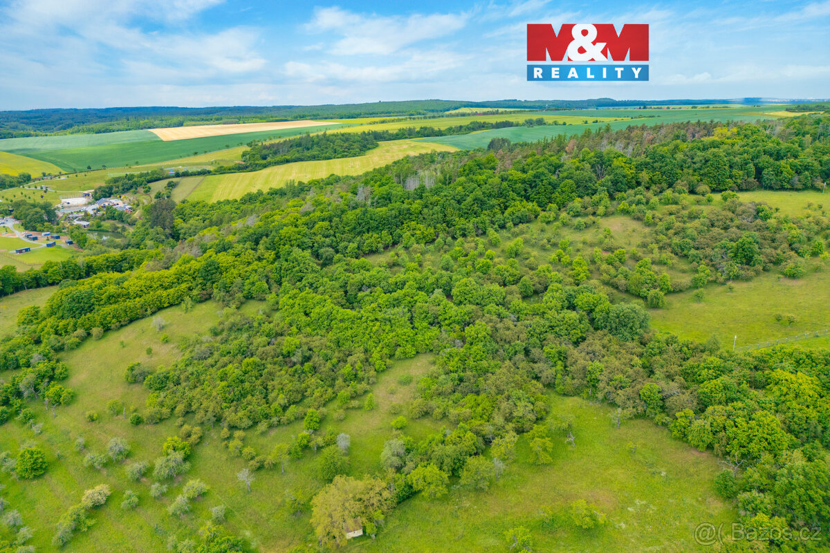 Prodej lesa, 2518 m², Chyňava