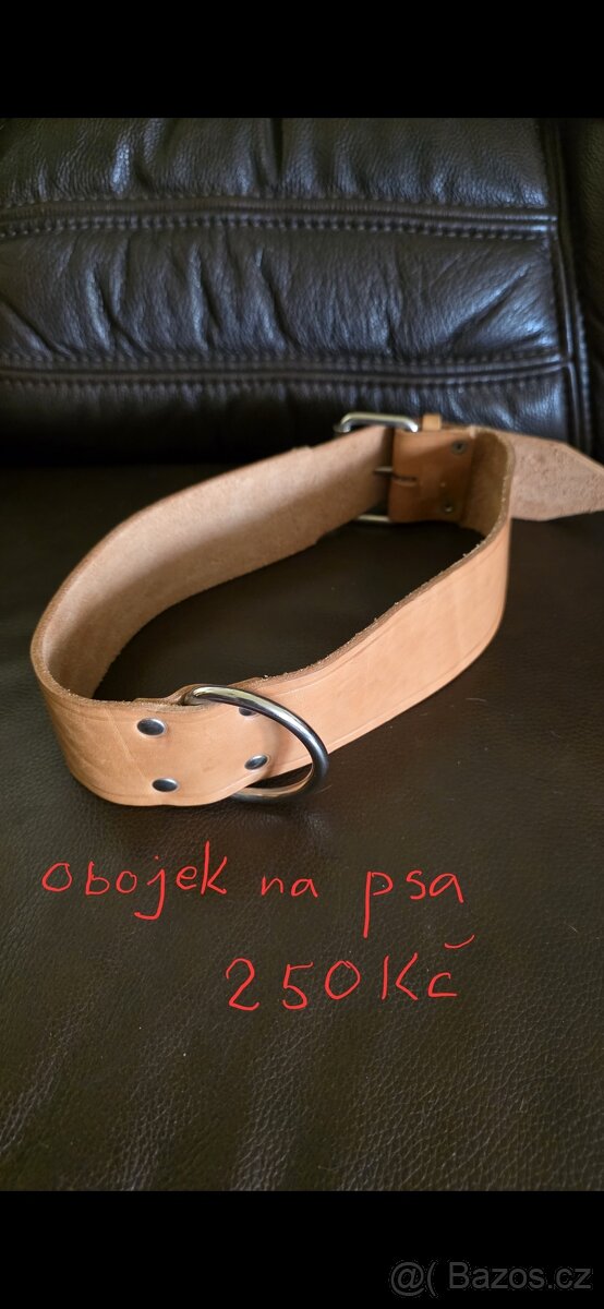 Obojek