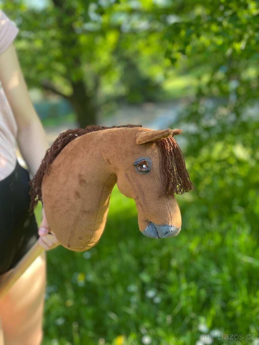Hobby horse