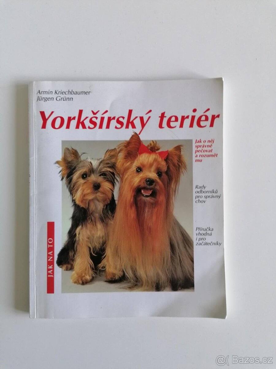 příručku pro začátečníky: Yorkšírský teriér