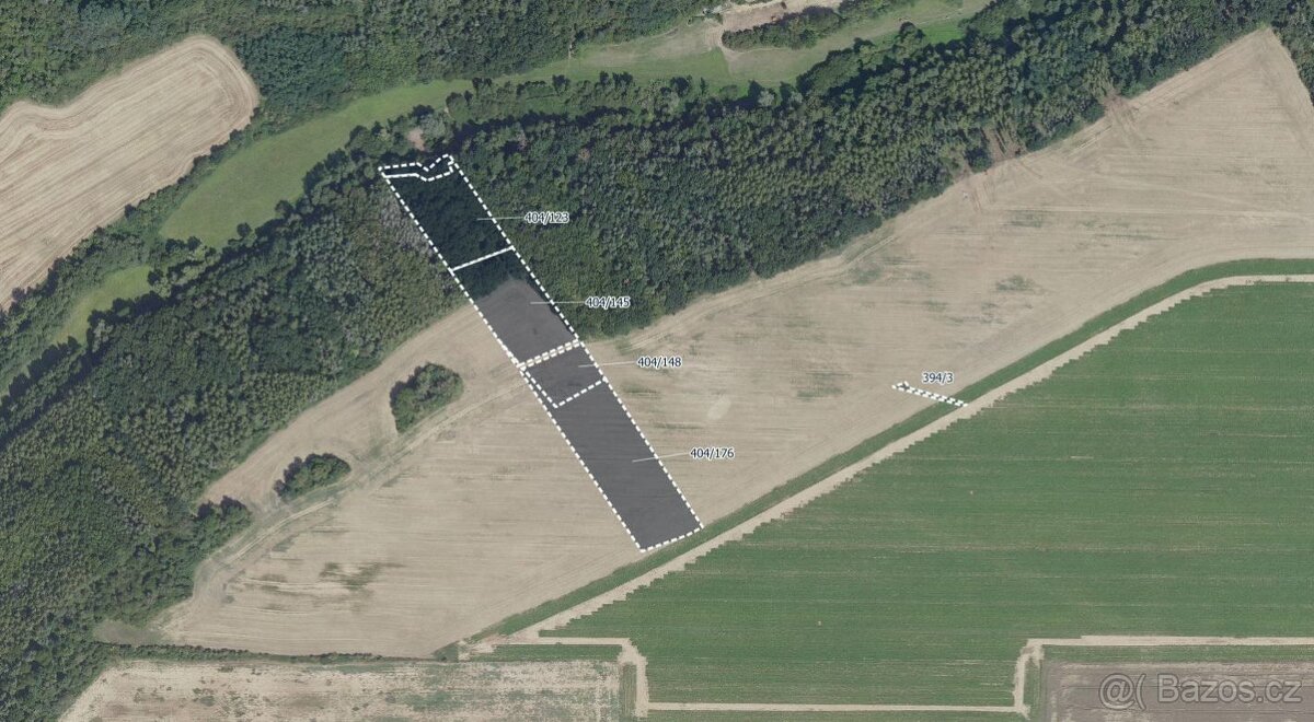 Zemědělská půda, prodej, Vyšehořovice, Praha východ
