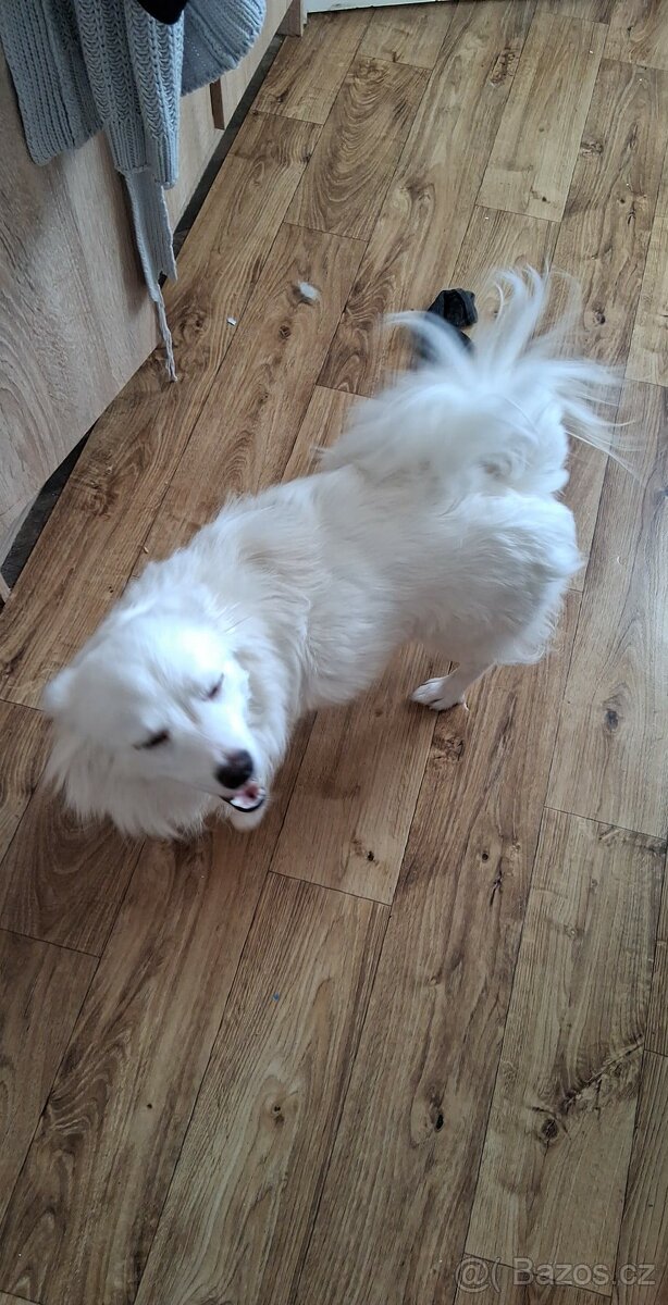 Dohodou do dobrých rukou