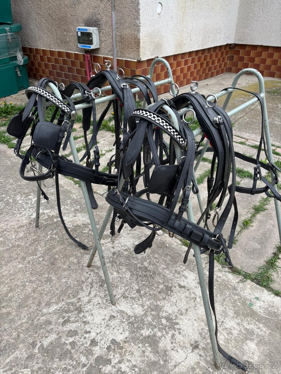 Párové postroje pony
