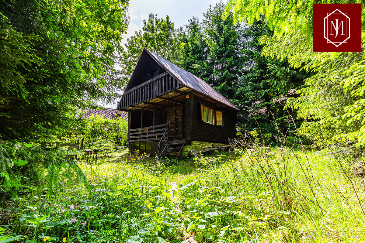 Prodej, dům, 276 m poz., 122, Cetoraz, Česko