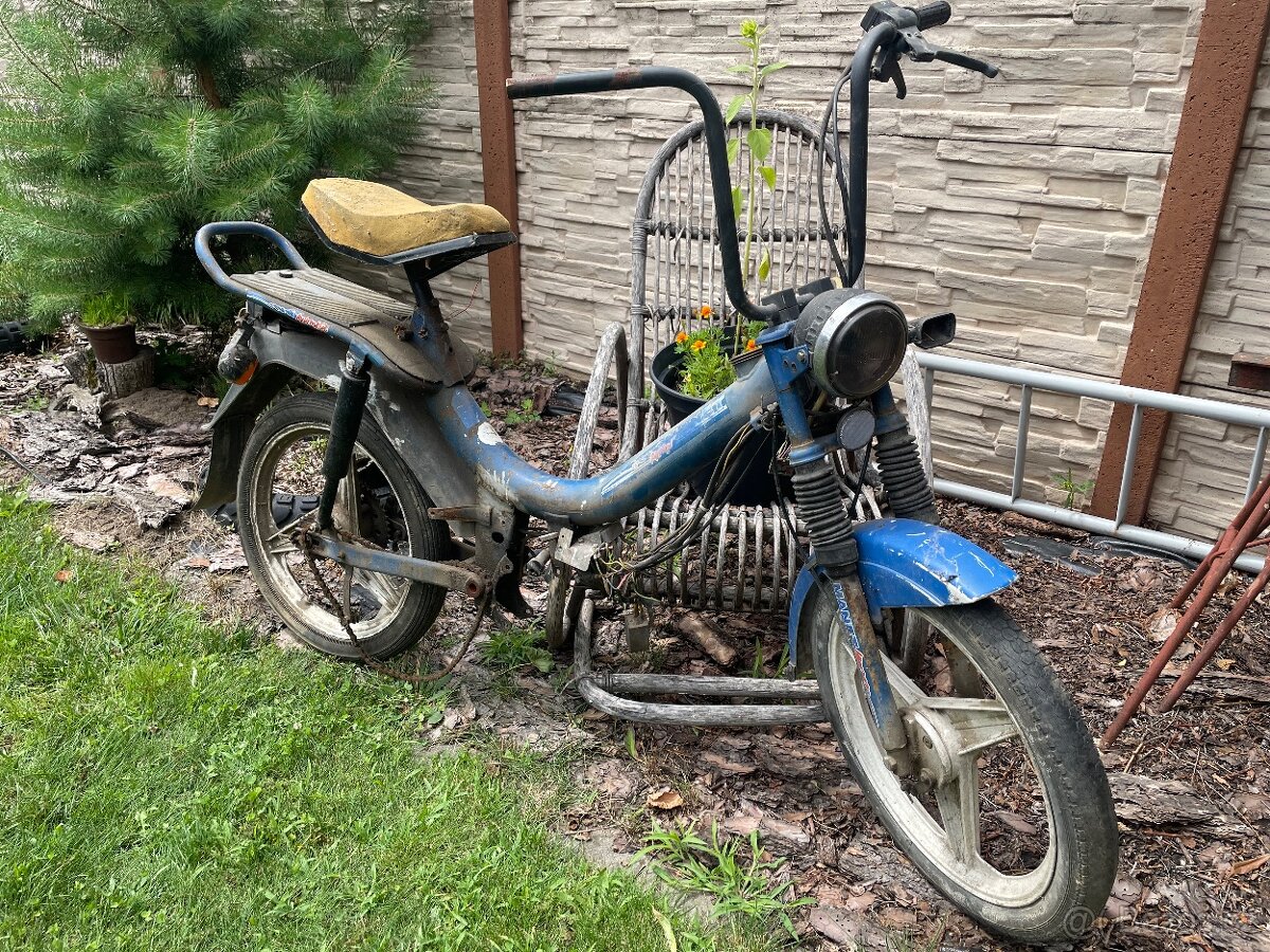 ND Manet korádo 216